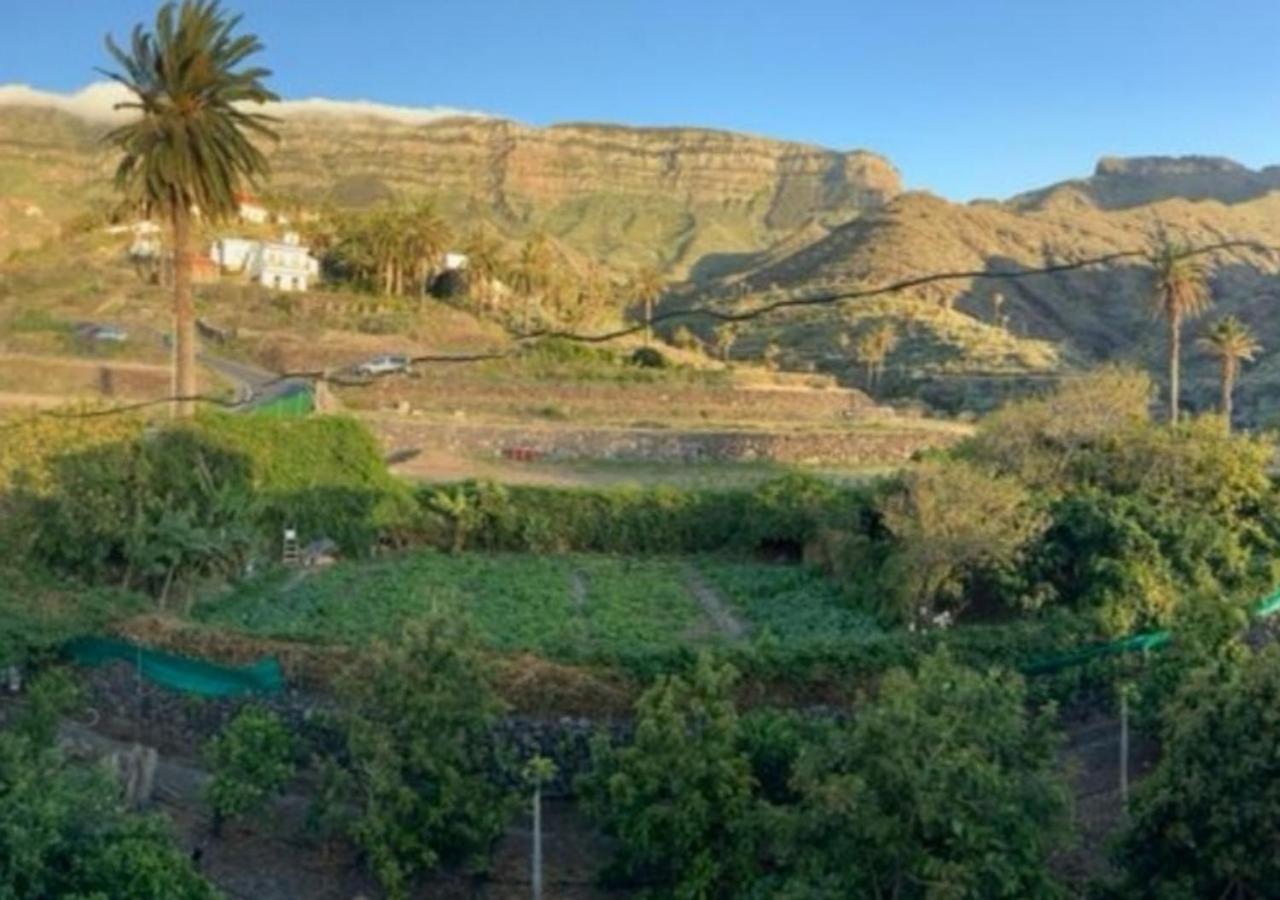 Casa Maria - Finca Medina Alojera Kültér fotó